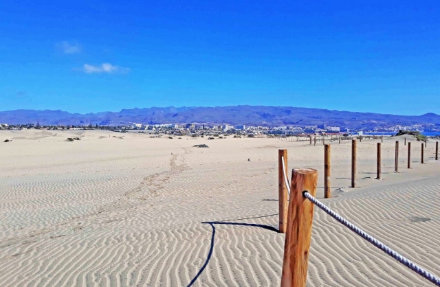 Blick aus den Dünen auf Playa del Inglés