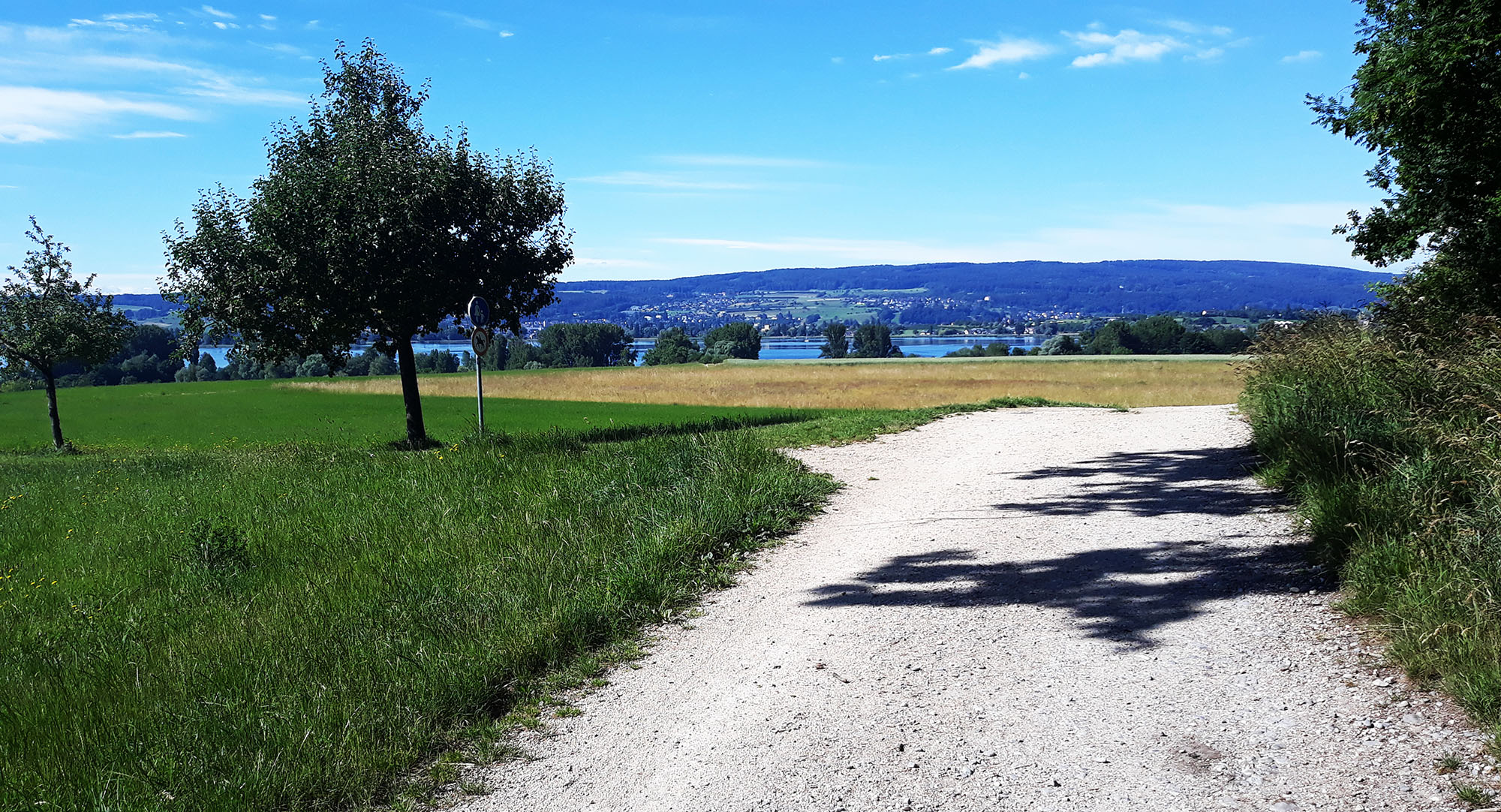 Wanderweg Hegne-Allensbach