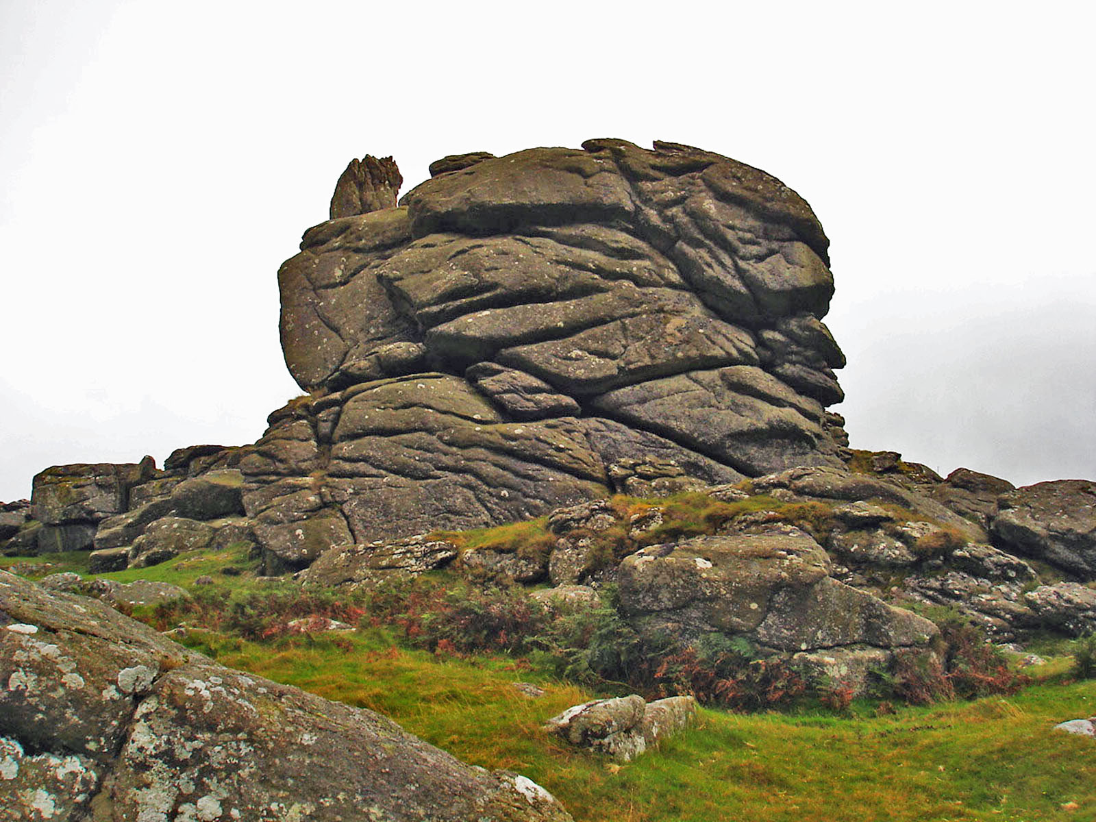 Dartmoor - Kopfform-Tor